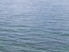 -碧海金沙