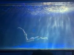 -常州海昌海洋探索馆