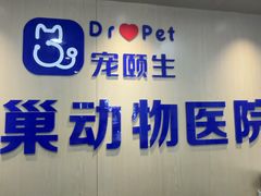 -宠颐生宠物医院·异宠猫科内科·诊疗中心宠巢店