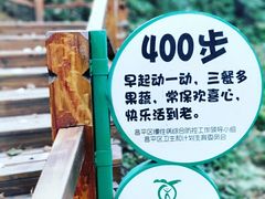 -大岭沟猕猴桃谷风景区