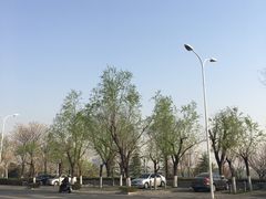 -灞河西岸滨河公园