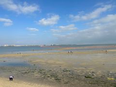 -北海金海湾红树林生态旅游区