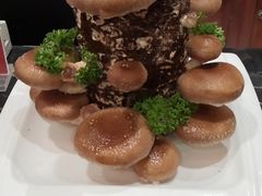 手剪香菇-谭鸭血老火锅(漳州路店)