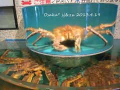 -蟹道乐(網元別館店)