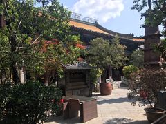 -真庆观