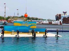 -秦皇岛乐岛海洋王国