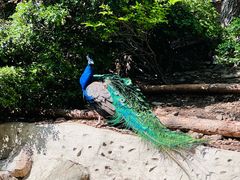 -大连老虎滩海洋公园