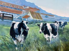 -君乐宝优致牧场