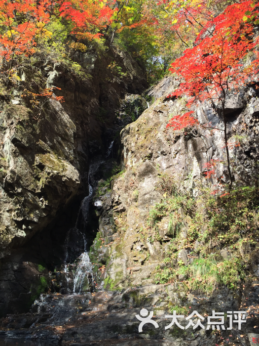 青山沟北方周庄图片 