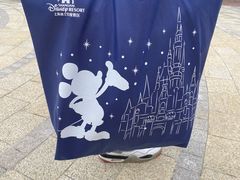 -迪士尼小镇