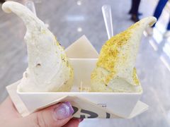-野人先生现做冰淇淋(西安赛格店)