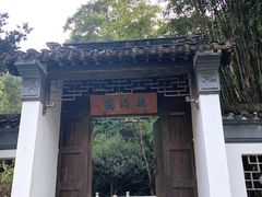 -深圳国际园林花卉博览园