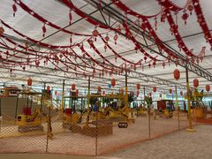 -南宫五洲植物乐园