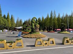 -东平国家森林公园