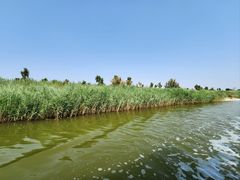 -南大港湿地风景区