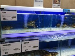 水产区-盒马鲜生(联投广场店)