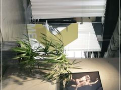 -天行健身＆天行拳馆跆拳道·格斗TXGYM