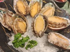 -牛New寿喜烧(金鹰世界店)