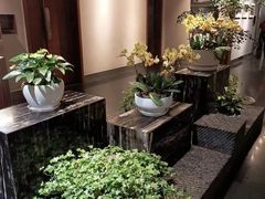 -黔蘑菇四季餐厅(观山湖店)