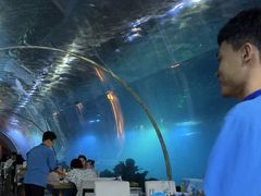 -涛·海底餐厅·美人鱼·自助餐·海底隧道(三亚海棠湾洲际度假酒店)