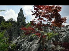 -千岛湖石林