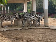 -石家庄市动物园