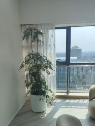 点击看大图 -HEYAN荷妍专业脱毛连锁机构