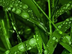 -真爱范特西KTV(交大店)