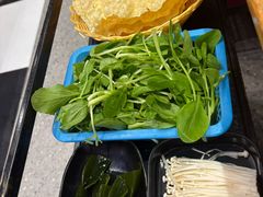 -林记潮牛·牛肉火锅(上马墩店)