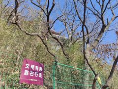 -灵顺寺