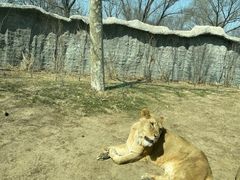 -北京野生动物园