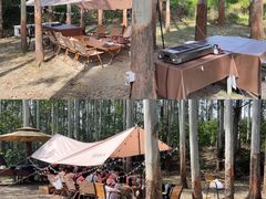 -桉树林A coffee 森林餐厅(三圣乡店)