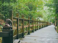 -凤栖山