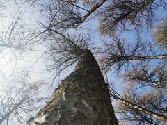 -硗碛藏寨·神木垒景区