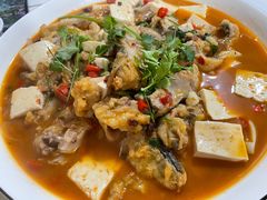 稀鳞硅鱼-煲来饱去冷水鱼