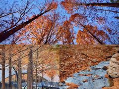 -白水寺森林公园