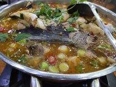 -全乐鱼馆·淳牌有机鱼直营店