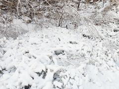 -蓟县盘山滑雪场