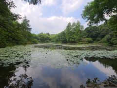 -杭州植物园