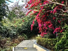 -小南山公园