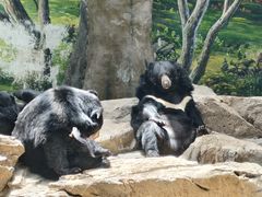 -鄂尔多斯野生动物园