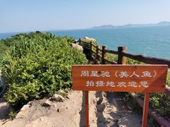 -杨梅坑