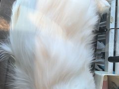 -平行世界·猫咖(首经贸店)