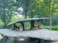 -北京野生动物园