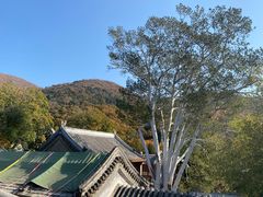 -潭柘寺景区