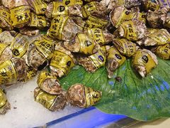 -比尔森韩式烤肉自助(国商店)