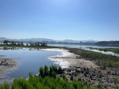 -洱海月湿地公园