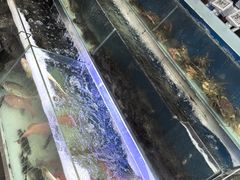 -盒马鲜生(大成店)