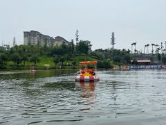 -枫香湖儿童公园