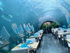 -涛·海底餐厅·美人鱼·自助餐·海底隧道(三亚海棠湾洲际度假酒店)